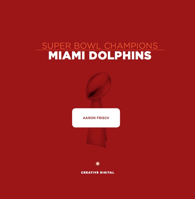 Miami Dolphins book cover