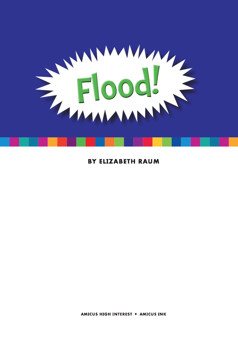 Flood! book cover