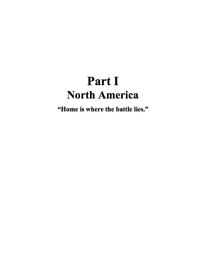 MVP* book cover