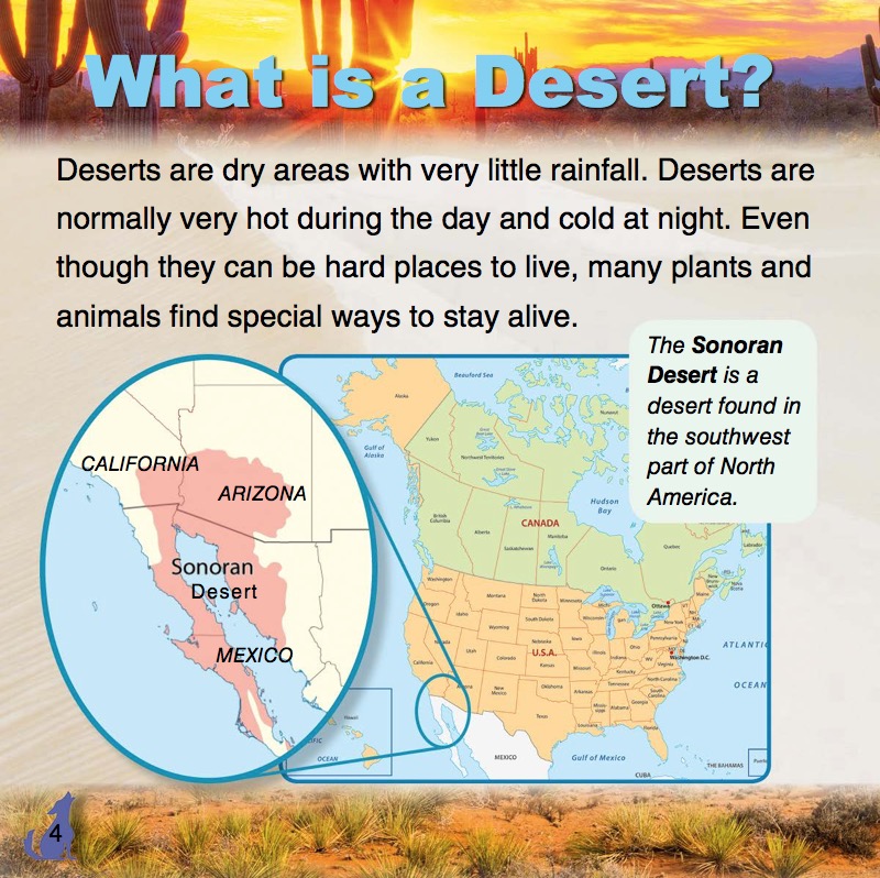 What Do You Find in a Saguro Cactus? — page 1