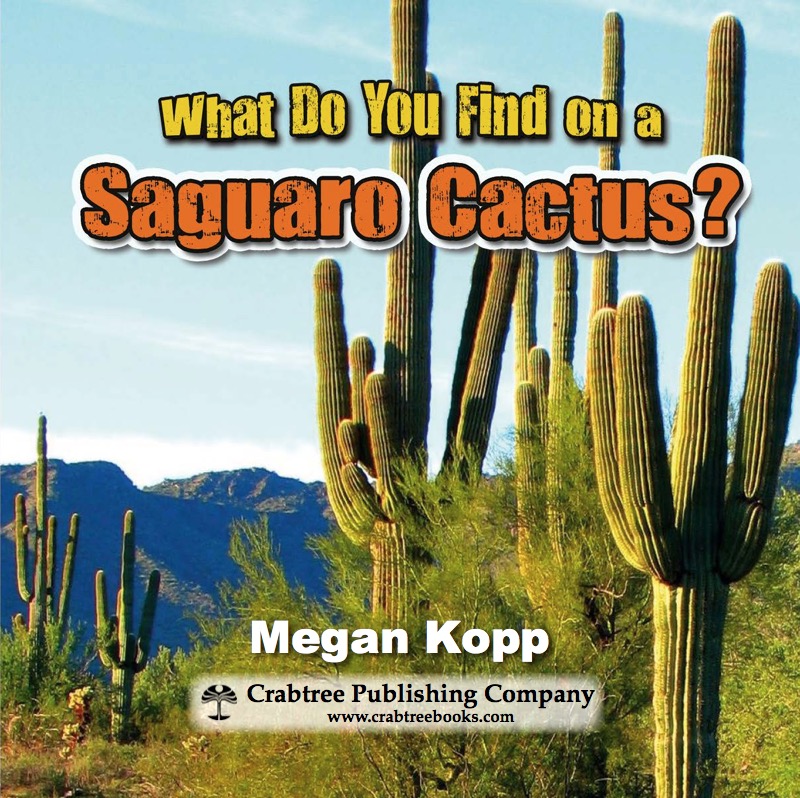 What Do You Find in a Saguro Cactus? book cover