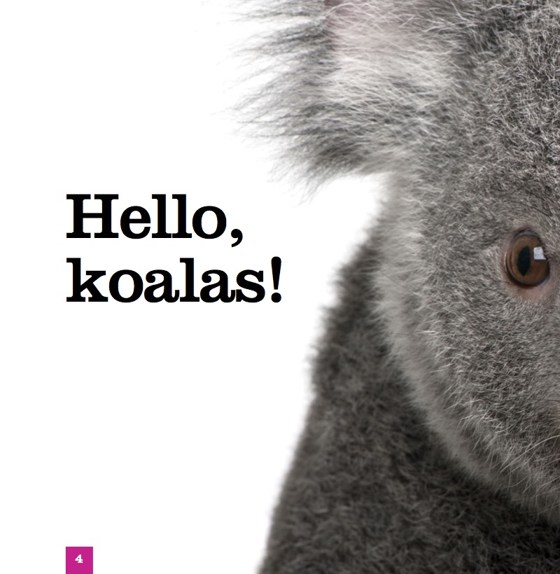 Koalas — page 1