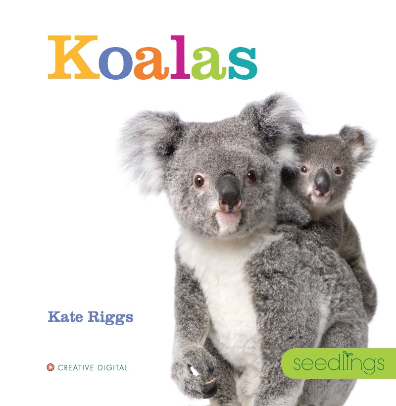 Koalas book cover