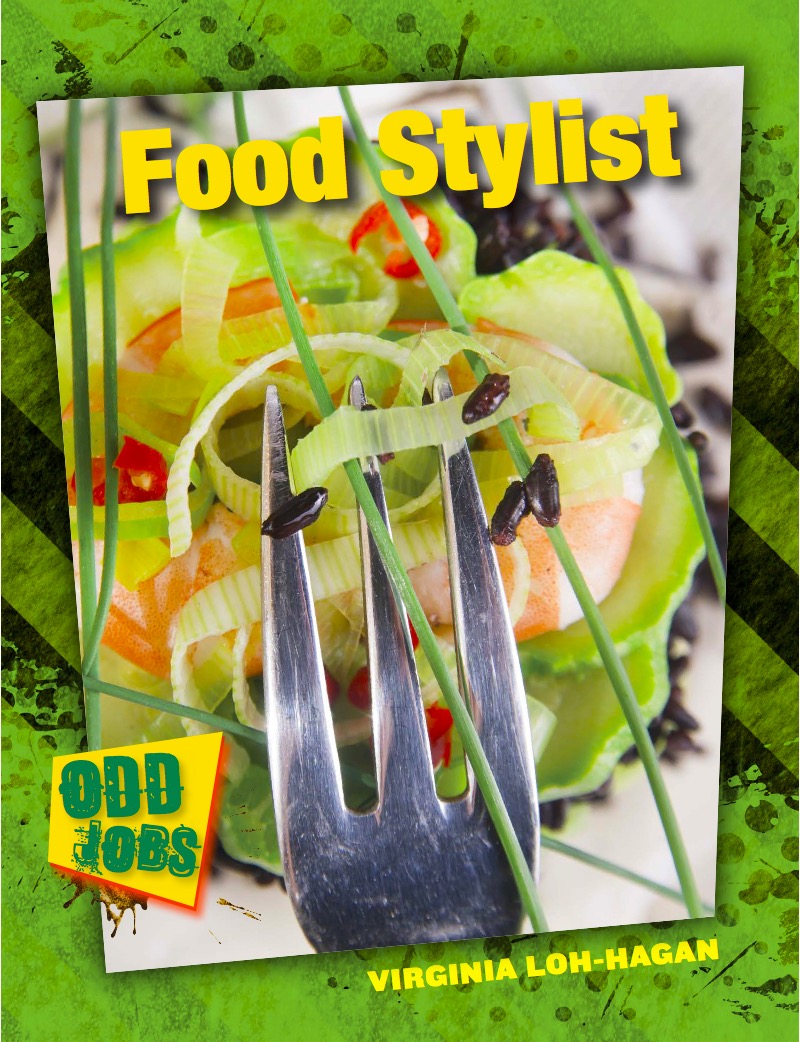 Food Stylist book cover