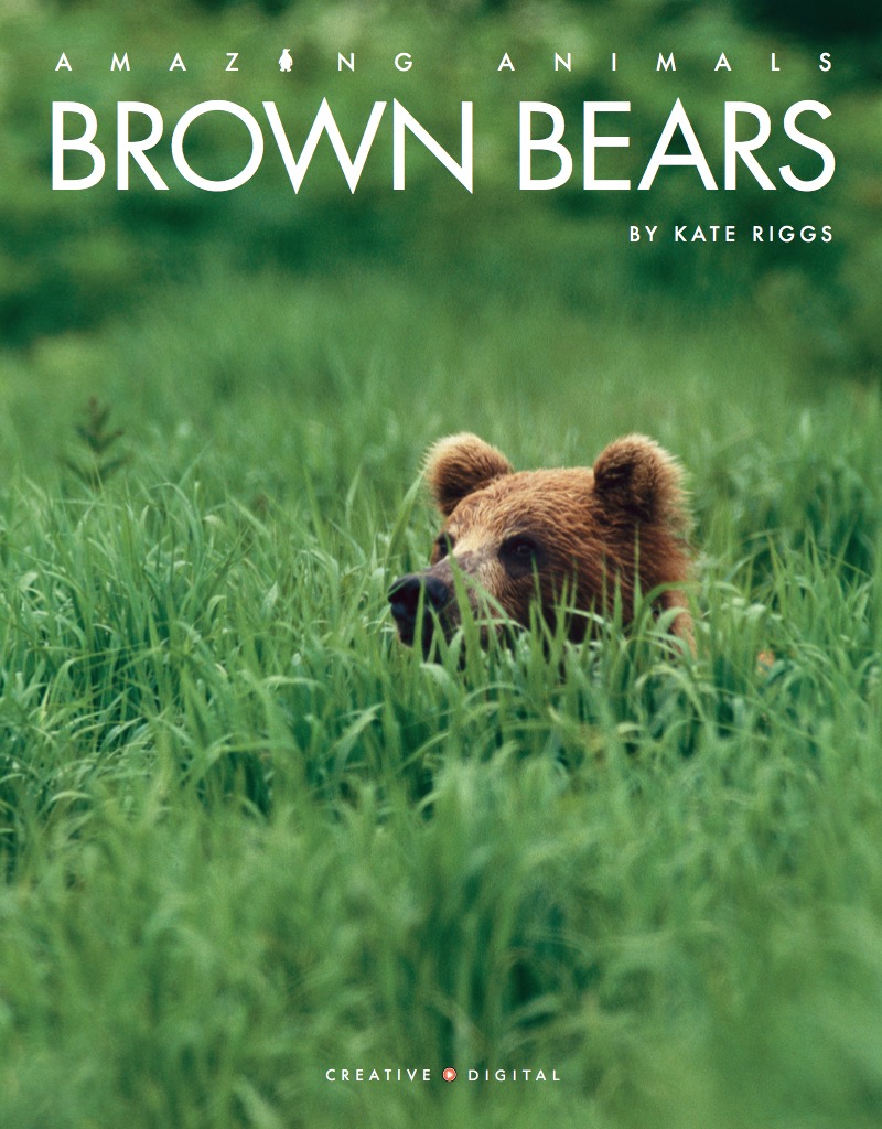 Brown Bears book cover