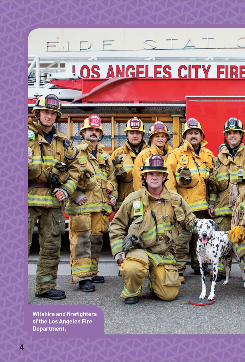 National Geographic Kids Chapters: Hero Dogs! — page 1