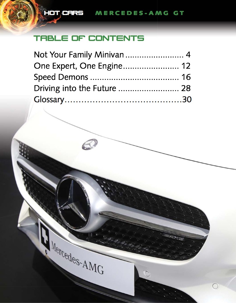 Mercedes AMG-GT — page 1
