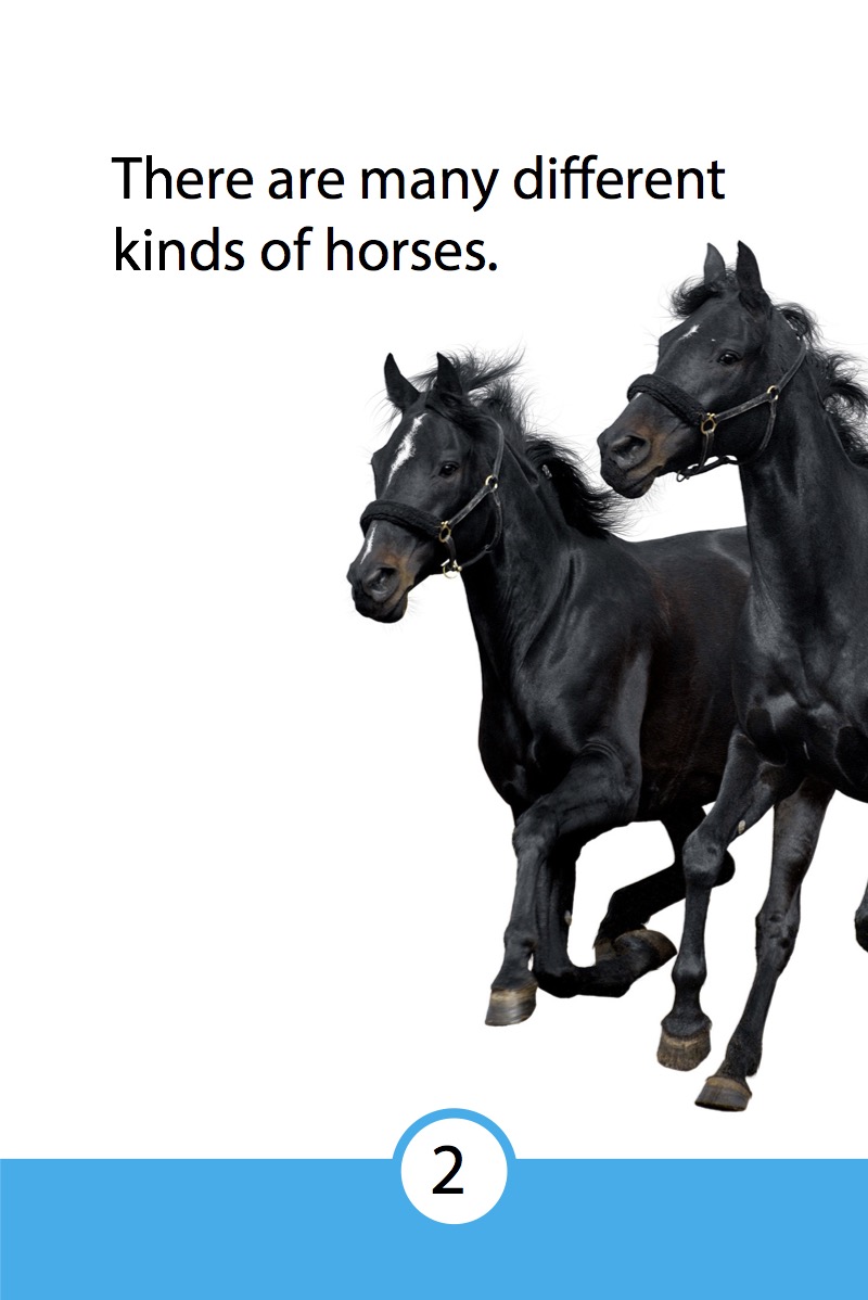 Discover Horses — page 1