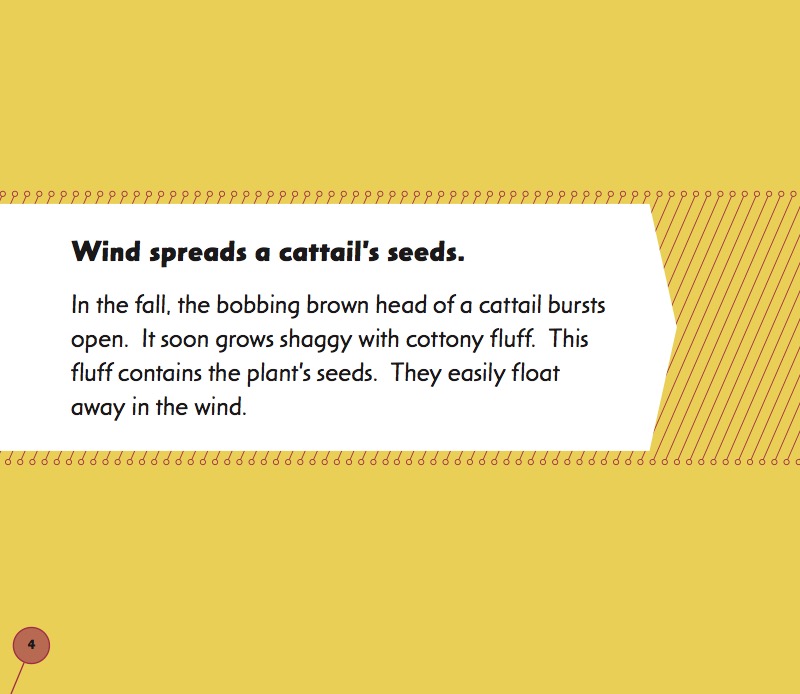 From Seed to Cattail — page 1