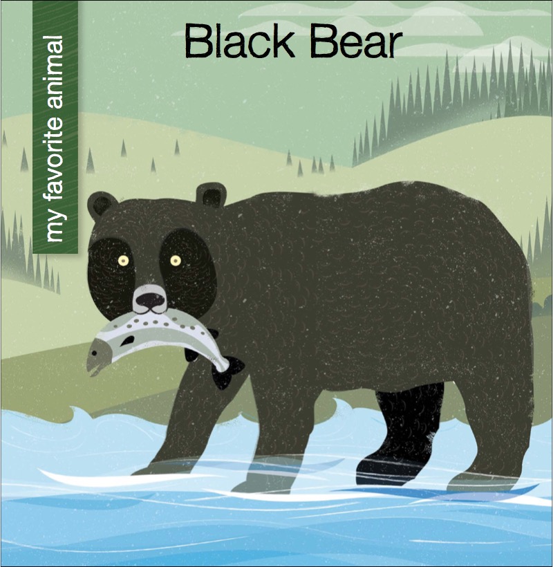 Black Bear book cover
