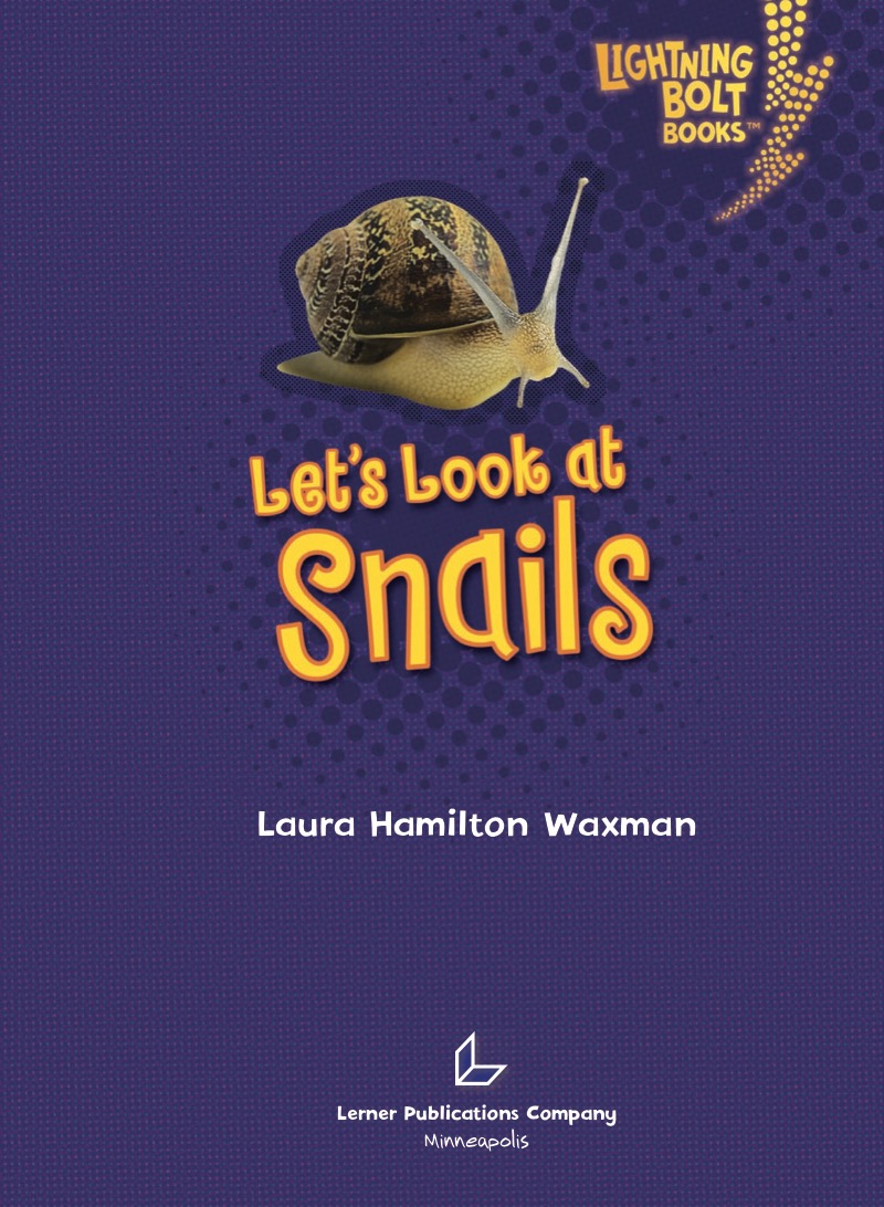 Let's Look at Snails book cover