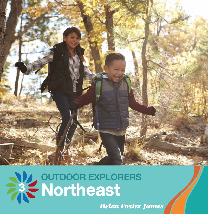 Northeast book cover
