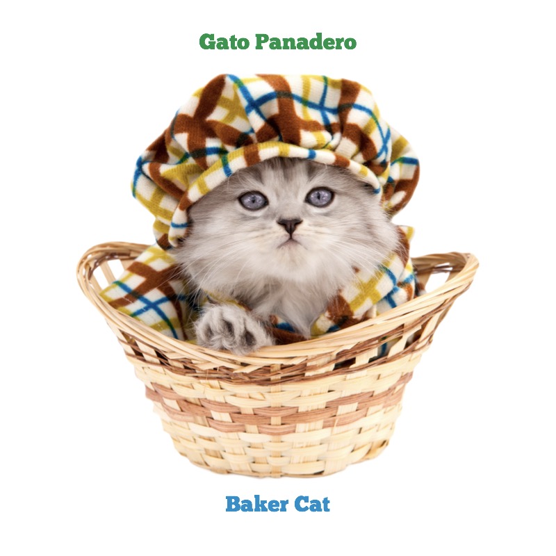 Cats All Dressed Up / Gatos Bien Vestidos — page 1