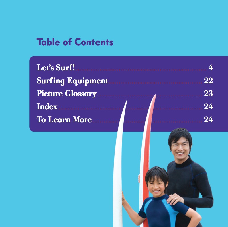 Surfing book cover