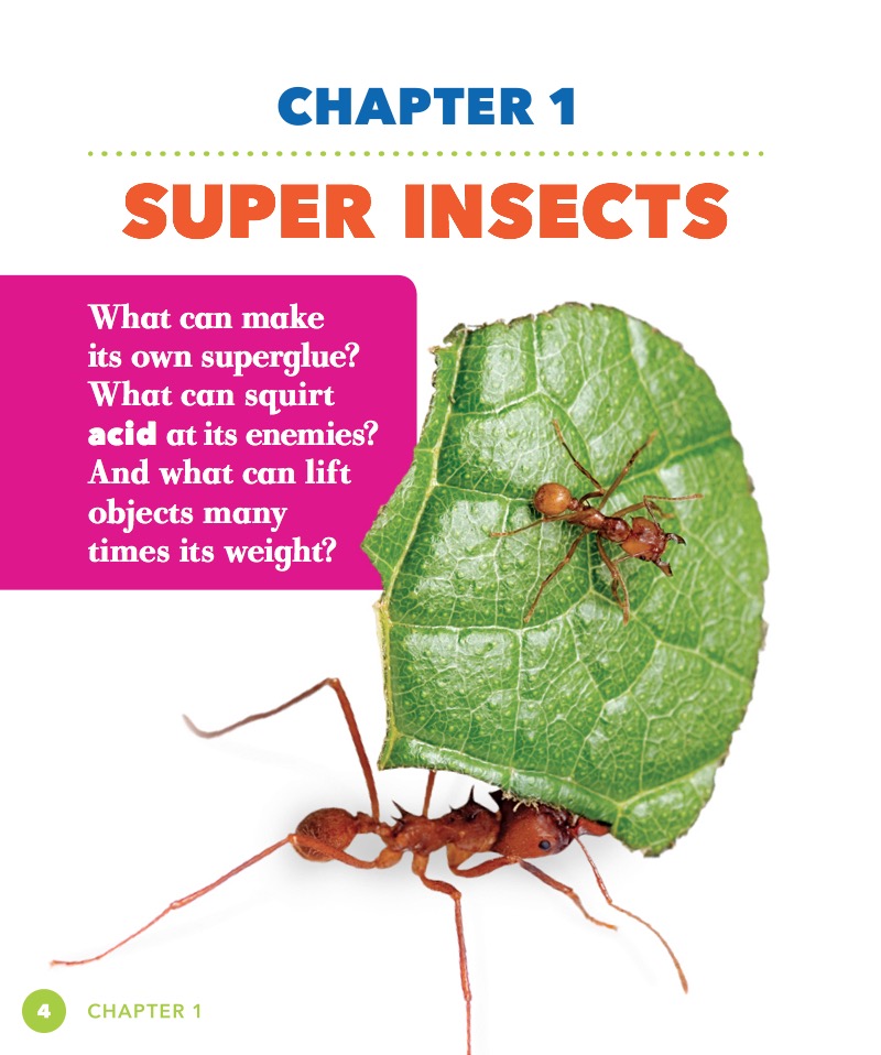 Super Ants — page 1
