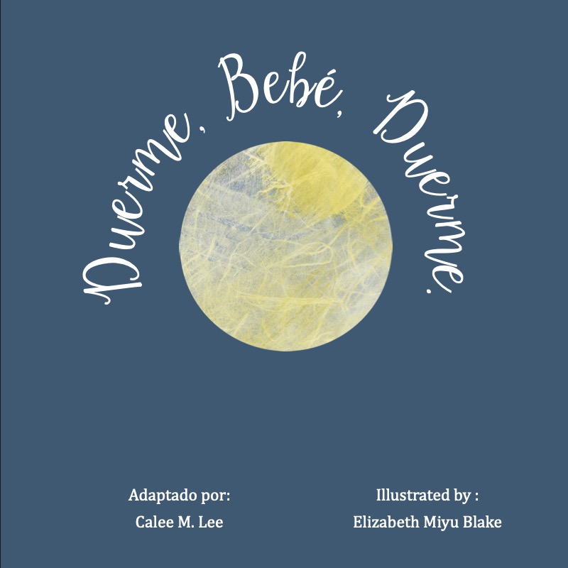 Duerme Bebé Duerme book cover