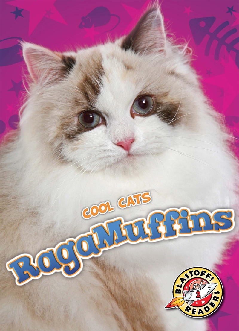 RagaMuffins book cover
