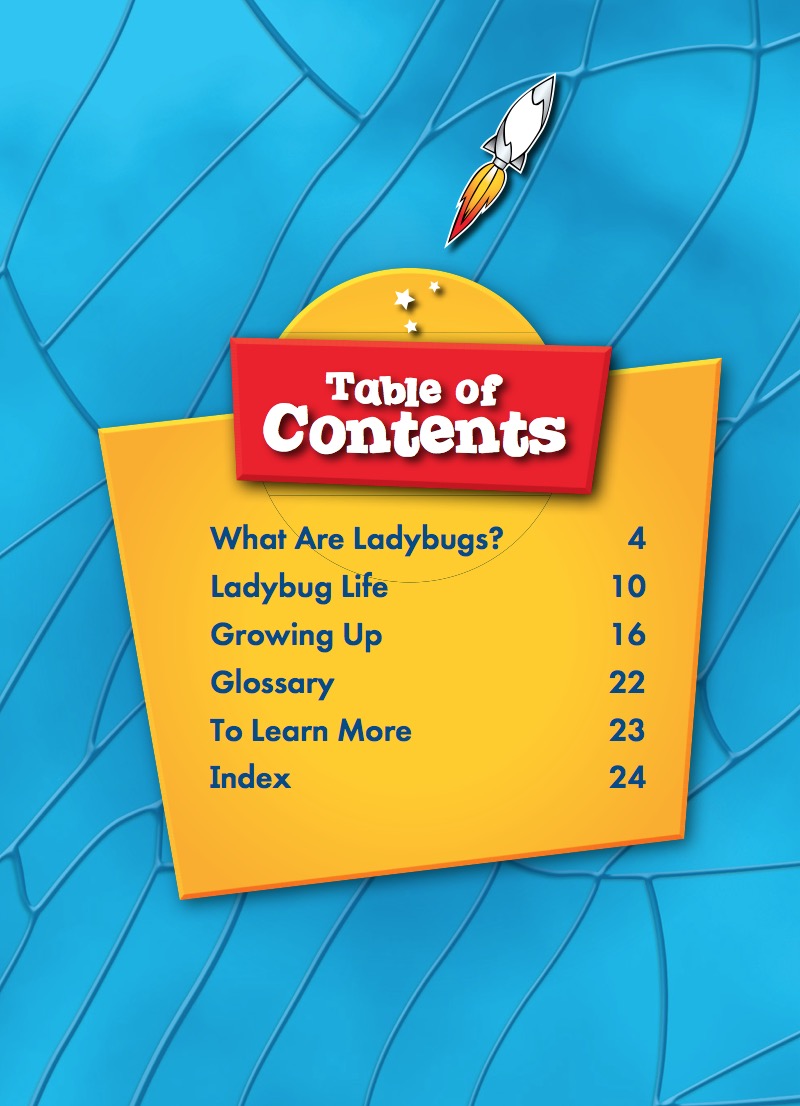Ladybugs book cover