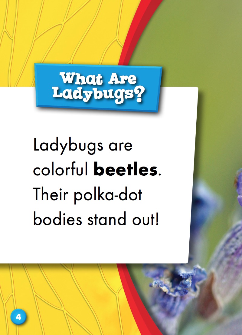 Ladybugs — page 1