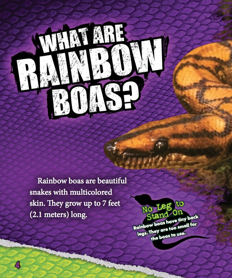 Rainbow Boas — page 1
