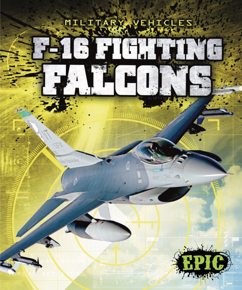 F-16 Fighting Falcons book cover