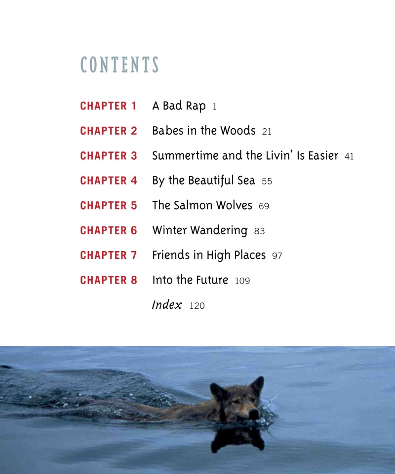 Sea Wolves book cover