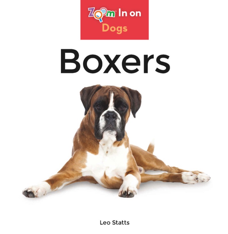 Boxers book cover