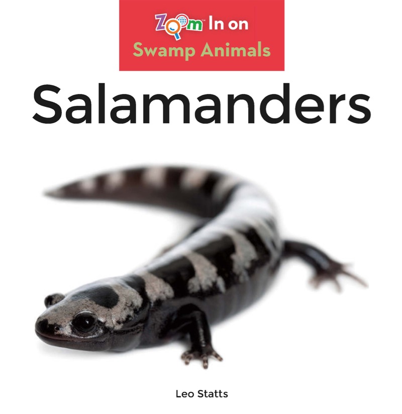 Salamanders book cover