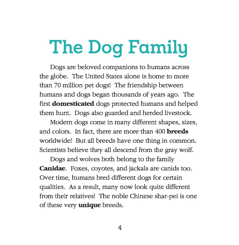 Chinese Shar-Peis — page 1