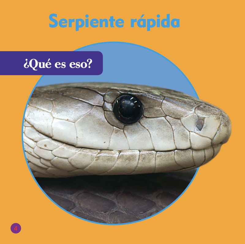 Mambas negras (Black Mambas) — page 1