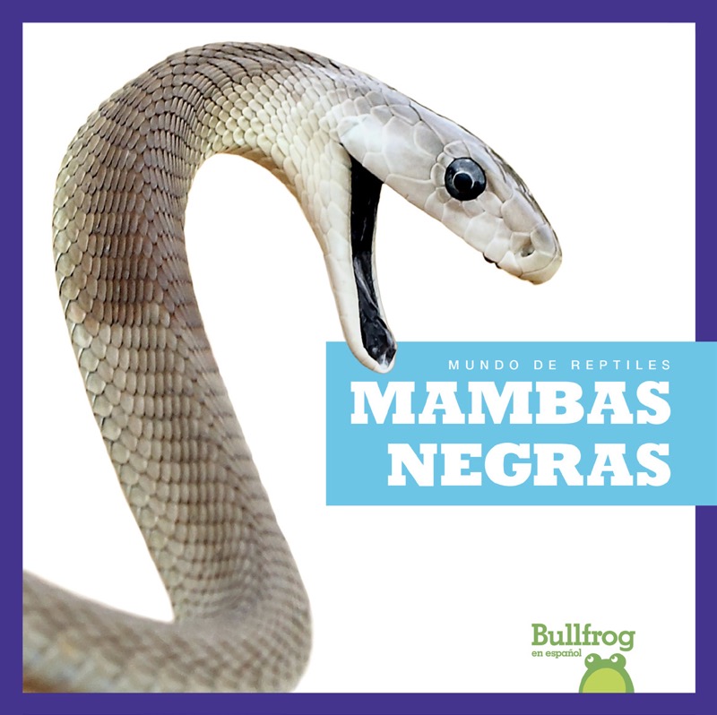Mambas negras (Black Mambas) book cover