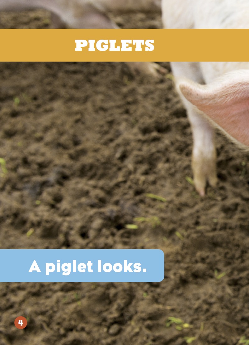 Piglets — page 1