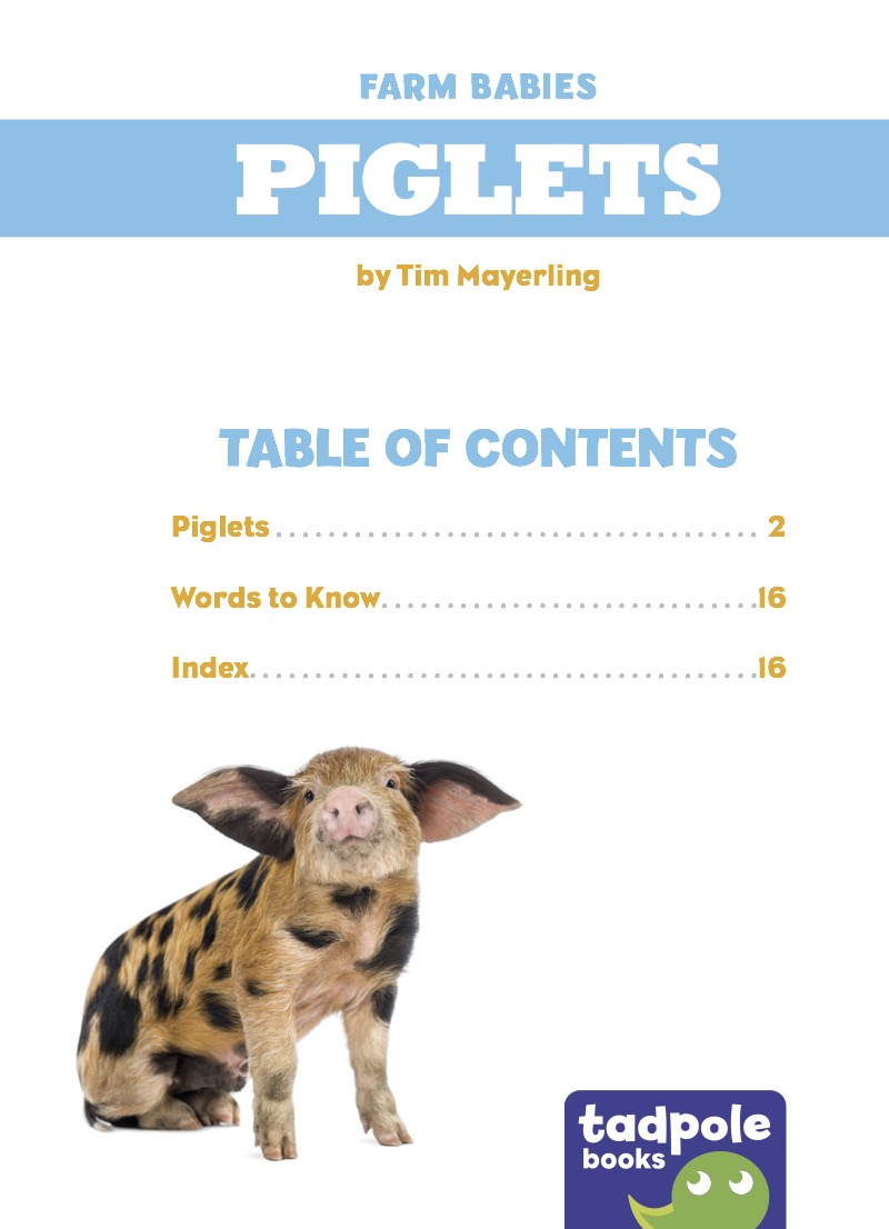 Piglets book cover
