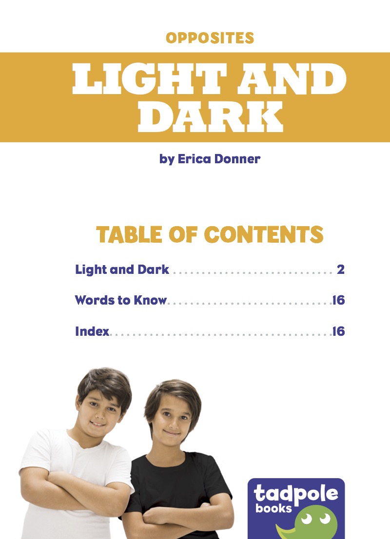 Light and Dark book cover