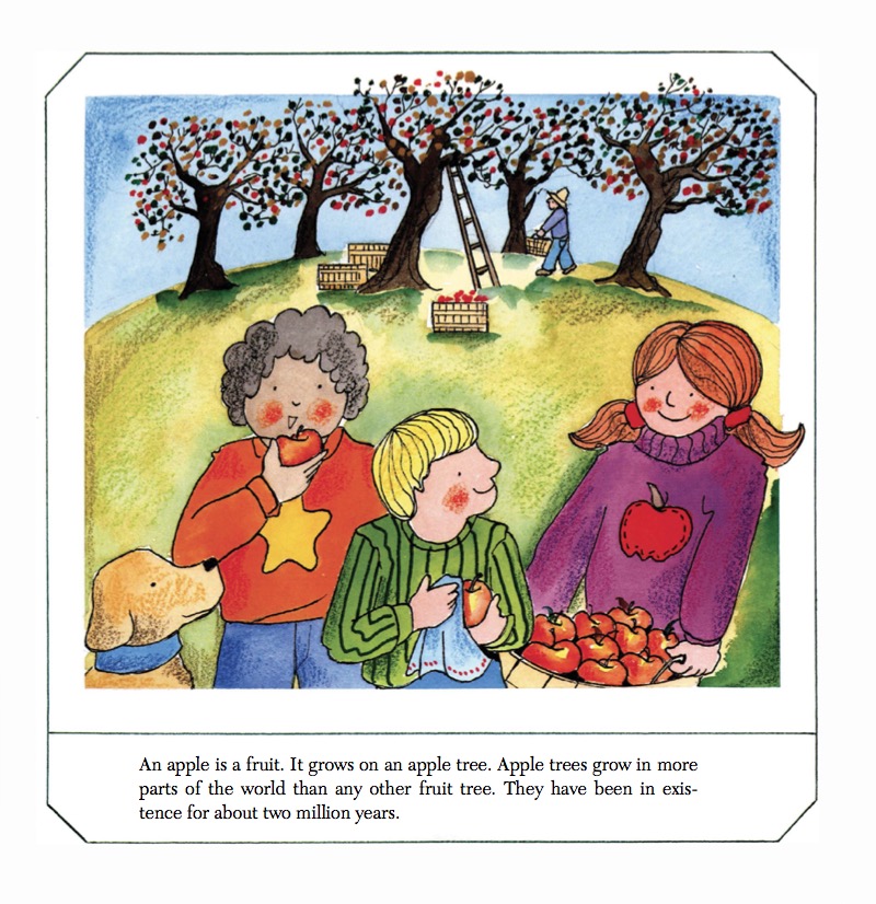 Apples book cover