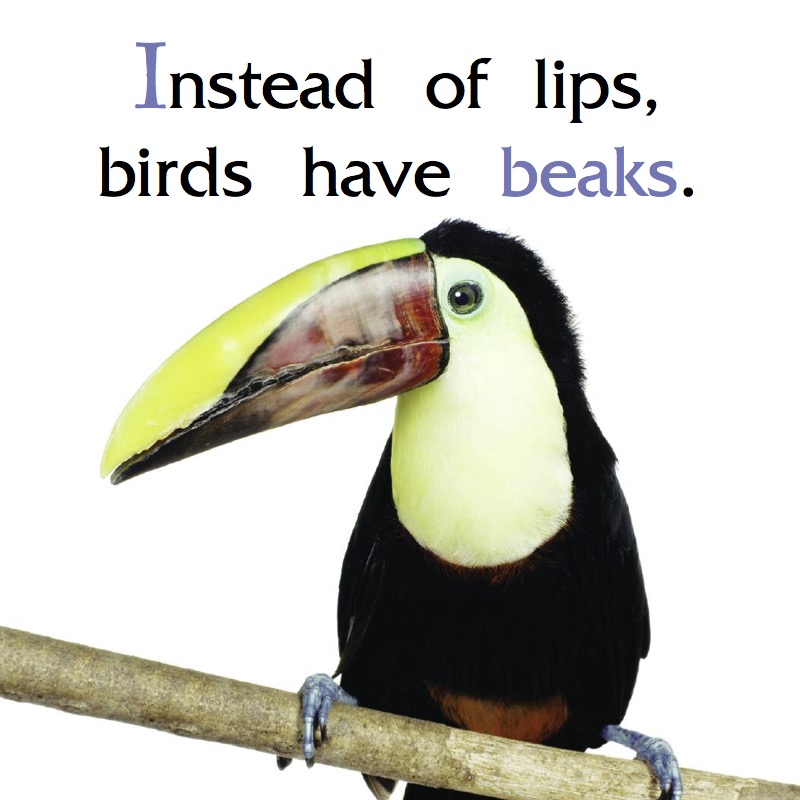 Peck, Peck, Peck book cover
