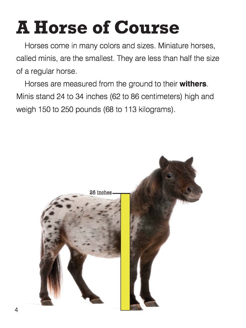 Mini Horse — page 1