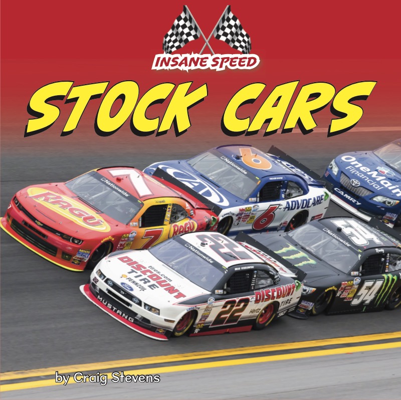 Insane Speed- Stock Cars book cover