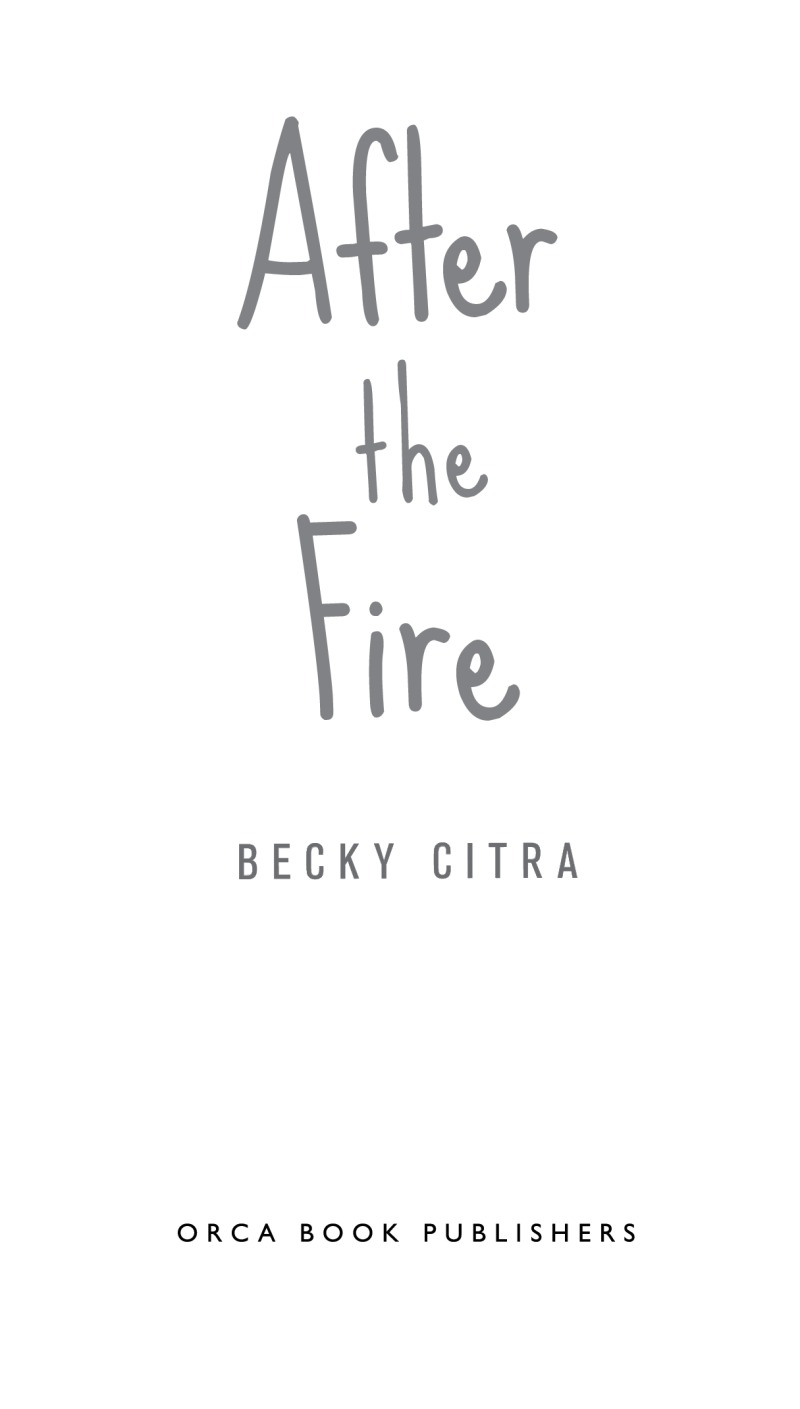 After the Fire book cover