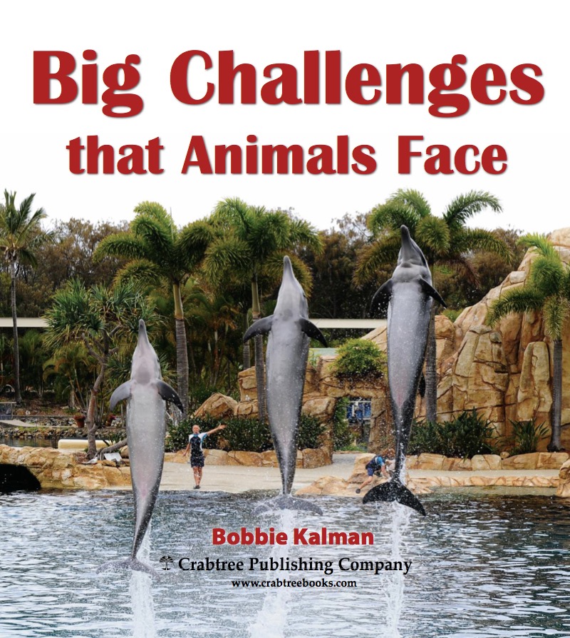Big Challenges that Animals Face book cover