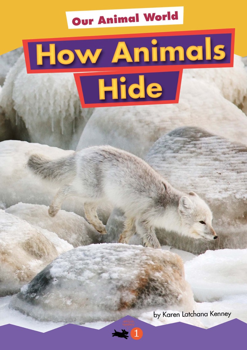 How Animals Hide book cover