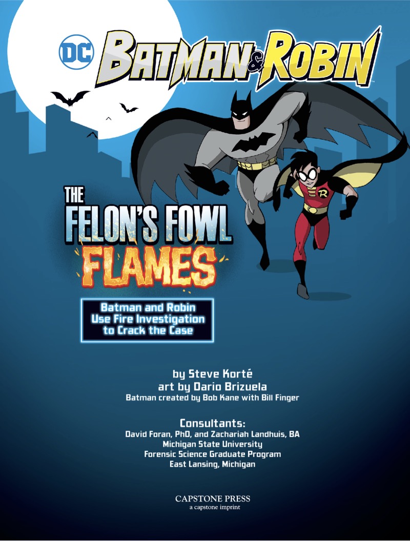 Batman & Robin: Felon's Fowl Flames book cover