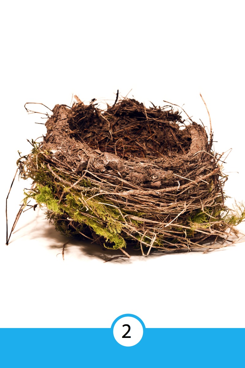 Discover Nests — page 1