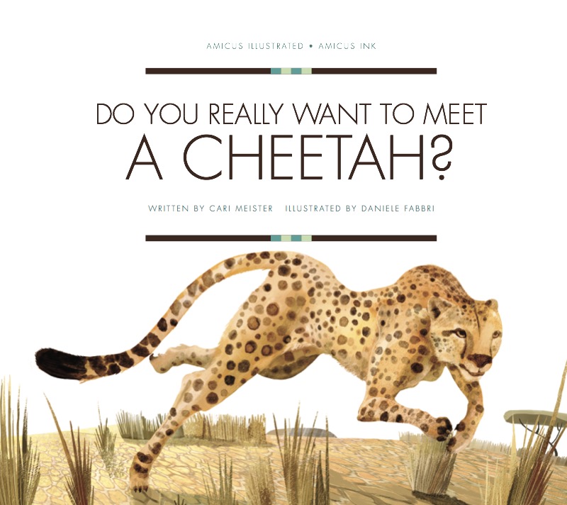 Do You Really Want To Meet A Cheetah book cover