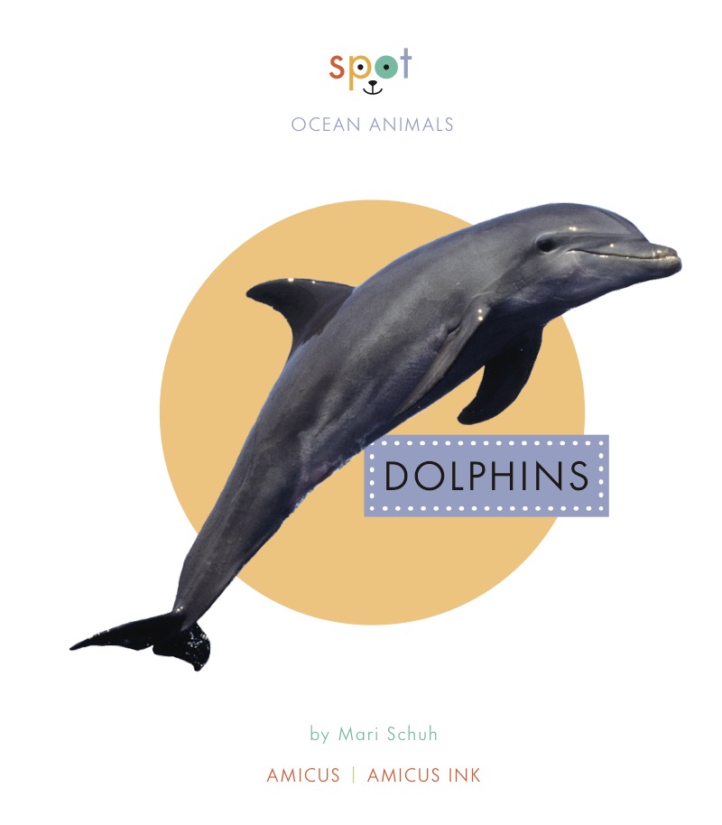Dolphins book cover