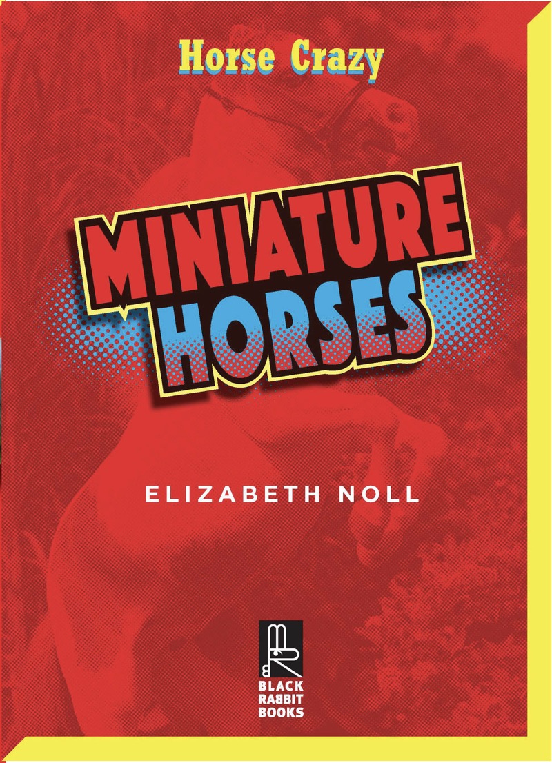 Miniature Horses book cover