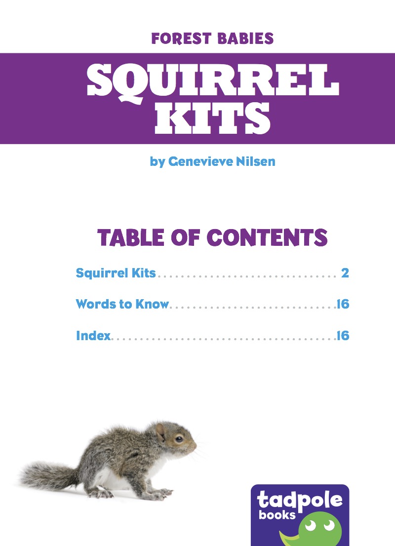 Squirrel Kits book cover