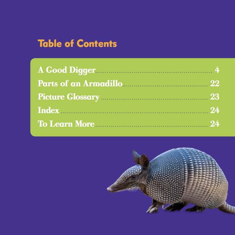 Armadillos book cover