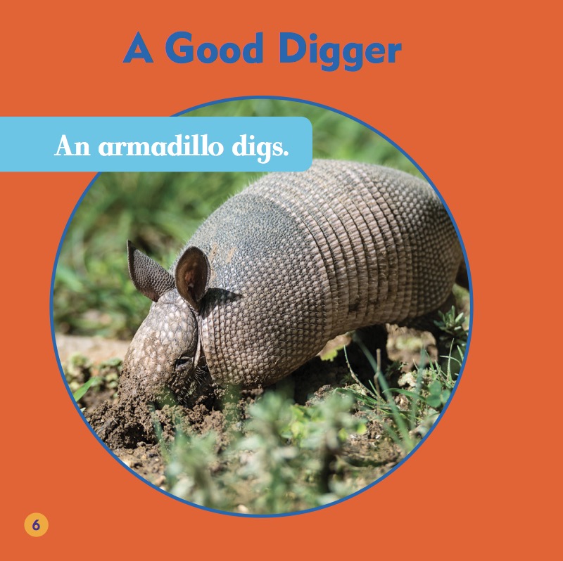 Armadillos — page 1