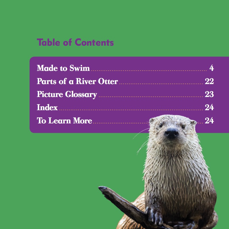 River Otters book cover